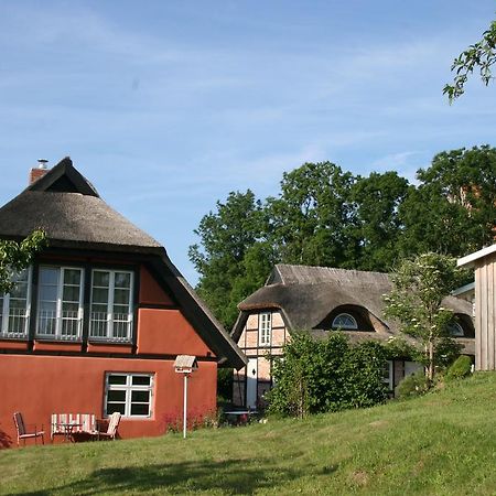Dorphus Villa Neuenkirchen auf Rugen Exterior foto